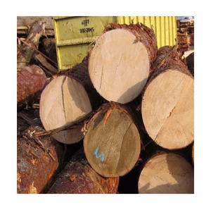 Troncos de haya para aplicaciones exteriores y construcción con durabilidad natural y propiedades de resistencia a los impactos. - Product Image 6