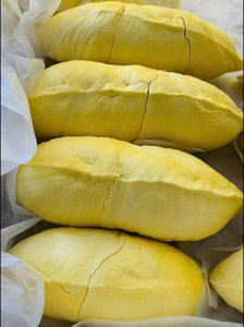 Pâte de durian congelée au Vietnam | VDELTA Bulk Aril No Shell Natural Ripe Durian Meat Export Supplier - Product Image 6