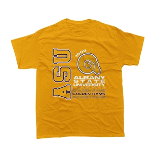 Infinitive APPAREL Albany State University เสื้อยืดลายทีมฟุตบอลแบบระบายอากาศได้ตามต้องการเสื้อผ้าแบบทีมวิทยาลัย hbcu สำหรับฤดูร้อน - Product Image 4