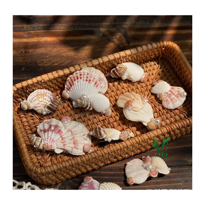 <b>Bohemian</b> Shell <b>Hair</b> Clip Vietnam Trendy Handmade Piece For Beachwear, Eco Gift Stores, And Casual Styling - Product Image 3