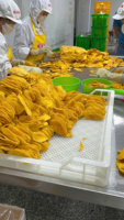 Hoogwaardige zachte gedroogde mango, FD-geprocesseerd, bulkverpakking, Vietnam, leverancier van tropische snacks voor snackmerken, supermarkten, export naar Nederland