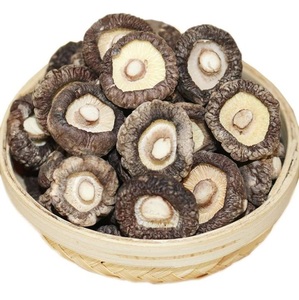 HONGOS SHIITAKE SECOS ENTEROS A GRANEL - Product Image 1