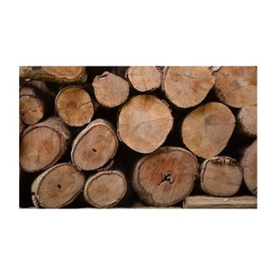 Eucalyptus Wood Round Logs for Furniture Components - Legs, Frames, and Panels - Product Image 6