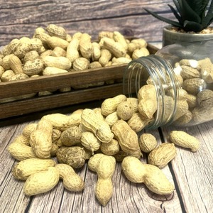 Fresh Raw Peanuts Bulk Premium Peanuts Natural Healthy Snack Packed For Wholesale And Export Buyers - Product Image 2