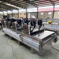 Séchoir à air continu automatique pour légumes et fruits avec souffleur de refroidissement à bande transporteuse