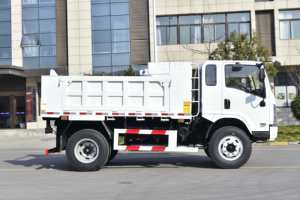 Shacman sagmoto x9s 1995 מונית/4*2 (עומס מרבי 5 טון; מהירות מרבית 105 קילומטר/שעה) דגם מוסמך - Product Image 3