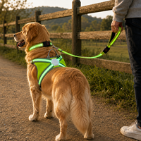 Harnais LED haute visibilité Qcool, laisse en corde durable, ensemble de promenade extérieur, fournitures pour animaleries, ensemble de promenade nocturne pour animaux, fournisseur