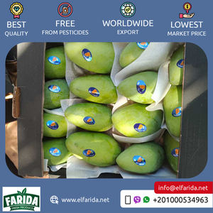 Fournisseur d'origine égyptienne de la meilleure qualité, goût délicieux, mangues aux fruits frais 100% naturelles pour l'achat en gros à un prix fiable - Product Image 2