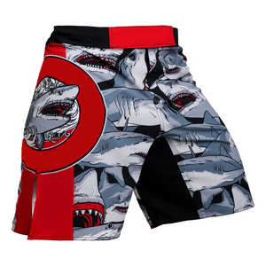 2021 oem pakistan usine professionnel en gros en vrac personnalisé sublimé mma combat shorts - Product Image 1