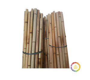 Poteau en bambou naturel Tube en bambou pour décoration meubles utilisation jardin fournisseur en gros fabricant exportateur - Product Image 1