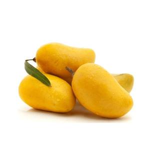 Poudre d'extrait de mangue biologique de qualité alimentaire, extrait de fruit naturel pour compléments alimentaires et boissons, fournisseur en gros d'exportation de Thaïlande - Product Image 5