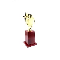 Trophée Étoile en Métal Durable, Écologique, Style Sportif, Gravure Personnalisée, Célébrant les Performances Exceptionnelles