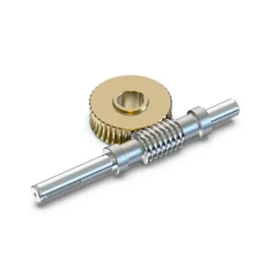 Custom Worm Gears Brass Stainless Steel Worm Wheel and Gear Set Suppliers for Speed Reducer At Good Price