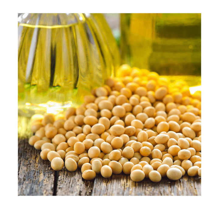 Refined Soybean Oil , Hydrogenated Soybean O100 Soybeans oil for