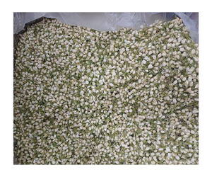 Té de flor de capullo de jazmín fresco secado natural Perlas de jazmín de alta calidad en bolsitas de té - Product Image 6