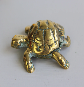 Una tortuga de latón pulido con un acabado de pátina desgastado para un aspecto decorativo único. Disponible a precios mayoristas - Product Image 1