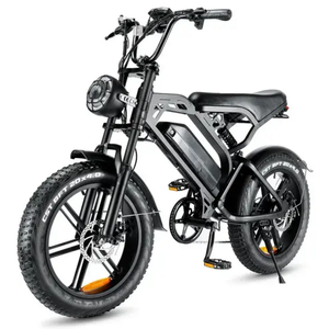 Vélo électrique TRADE BEST US ANGLE G20, 20 pouces, pneus larges, 1000 W, vélo tout-terrain électrique, vélo électrique pas cher, vélo de montagne électrique haute vitesse - Product Image 1