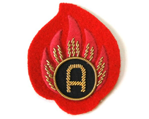 Insignias bordadas de la marca WOK Industries, insignias de blazer con bordado de bullion plateado, insignias de uniforme y trenzas bordadas para uniforme. - Product Image 5