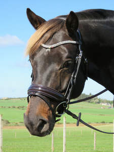 Bride anatomique FSS PURPLE GLITTER BLING FREEWAY Curve CUT AWAY Headpiece NEW - Product Image 6