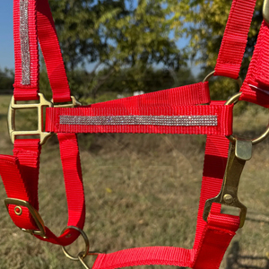 บังเหียนม้าคุณภาพสูงแบบปรับได้ ทนทาน สายรัดจมูกบุนุ่มทำจากไนลอน พร้อมตัวเลือกหนังแท้ ปรับแต่งสีได้ - Product Image 2