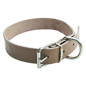 สายจูงสุนัข กว้าง 16 มม. ยาว 37 ซม. - Product Image 1