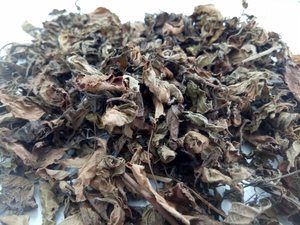 Wholesale <b>Grass</b> Jelly Leaves for Beverage and Dessert Industries Bulk Supply of <b>Dried</b> Black <b>Grass</b> Jelly Leaves at Best Prices - Product Image 2