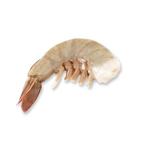 Fournisseur de crevettes blanches de haute qualité, crevettes Vannamei congelées, élevées en ferme - Product Image 5