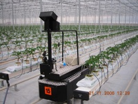 Chariot électrique de haute qualité pour rail, télécommandé, pour serres agricoles, culture de tomates et légumes, avec câble métallique de 2 ans de garantie