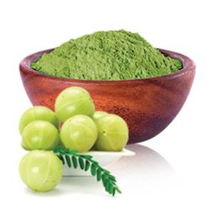 Polvo de Amla orgánico con pulverizador de frutas secas, producto en oferta, extracto de fruta Amla, 100% fresco, precio barato - Product Image 6