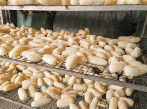 JUGUETE PARA MASCOTAS LOOFAH DURO Y SEGURO/2. 2/2/EXCELENTE PARA MASCAR/HECHO EN VIETNAM - Product Image 2