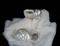 Verre à vin Seashell pour présentation de nourriture de luxe Affichage de fruits de mer et utilisation de table de mariage