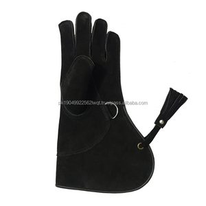 Falconry Wanrfalke, R Auf Eine Behandschuhte Hand R Falkner Einzieht Image94870635