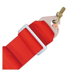 Beltenick SFI Car Racing Harness Racing <b>Seat</b> <b>Belt</b> RI-100 - Product Image 3