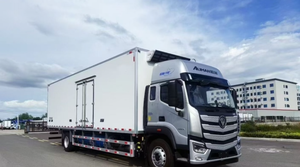 Camión Refrigerado FOTTON AUMARK 4*2, 12 Toneladas, Manual, Nuevo, -5 a -18°C, 150-250HP, Euro 3, para Transporte de Alimentos Congelados - Product Image 4