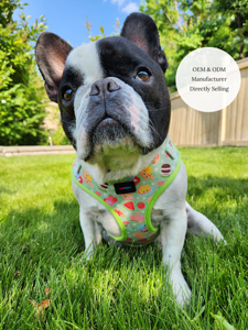 Custom Cute Adjustable <strong>Harness</strong> for <strong>Dogs</strong> Comfortable and Durable Light Green Kawaii Picnic <strong>Harness</strong> for <strong>Extra</strong> <strong>Small</strong> to Large <strong>Dogs</strong> - Product Image 4
