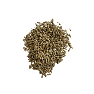 Fourniture en gros de grains de seigle en vrac à un prix compétitif bon marché - Product Image 2