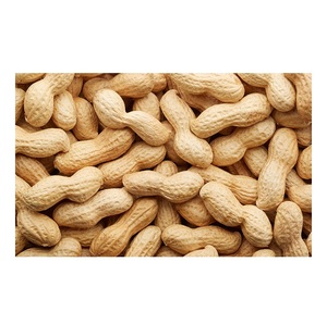 Rich in protein Rich organic protein Kernel Raw <b>Peanuts</b> Kernel <b>Peanut</b> - Product Image 1