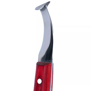 Cuchillo de pezuña de precisión con pezuña para diestros J2 Hoja de acero inoxidable Topper de latón con mango de madera - Product Image 3