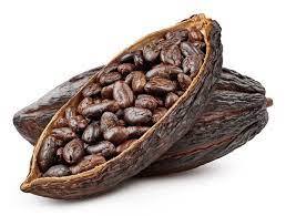 เมล็ดโกโก้/โกโก้ตากแดด - Product Image 6