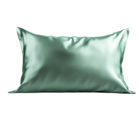 OEM Design personnalisé 16-22 Momme 6A Grade taie d'oreiller en satin de soie turc OEKO-TEX certifié vert menthe marine maison feuilles point blanc