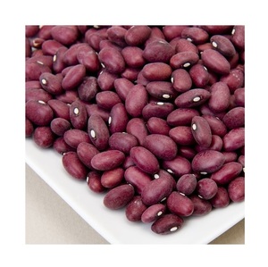 ถั่วแดงคุณภาพดีราคาถูกสำหรับส่งออก - Product Image 6
