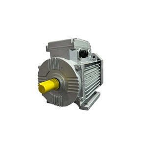Moteur électrique à courant alternatif monophasé 12 mois de garantie Moteur asynchrone 240V 220V-50Hz-60Hz Moteur en fonte d'aluminium à courant alternatif - Product Image 3