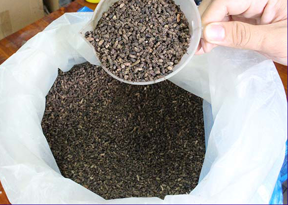 Bat Guano Dnger - 100 % rein, 500 kg Jumbo Sack aus Vietnam