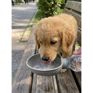 Dispensador de Agua para Mascotas con Tapa y Clip para Botellas PET - Product Image 2