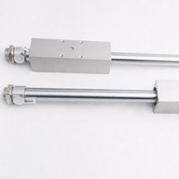 Unité de commande linéaire FESTO, cylindre DGO-16-20/25/32/40-300-400-500-600-PPV-A-B DGO