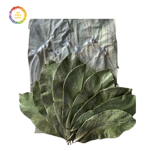 Feuilles de corossol séchées économiques - Qualité garantie - Product Image 2