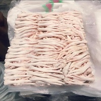 Pattes de poulet congelées Halal BQF IQF de qualité supérieure, emballées sous vide, 10 kg, nutritives, faibles en sodium, sans gluten, durée de conservation de 3 ans, export