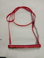 Meilleur prix de gros pour la laisse de spectacle BLUHORSE BH-973 en PVC durable avec chaîne de guidage, disponible en plusieurs tailles (Full Cob)