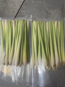 CITRONNELLE CONGELÉE DE QUALITÉ SUPÉRIEURE/ARÔME PUR/ÉTIQUETTE PROPRE/HAUTE QUALITÉ - Product Image 5