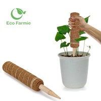 Bâtons en mousse pour plantes grimpantes, piquet de plantes de jardin d'intérieur, totem en fibre de coco de différentes tailles